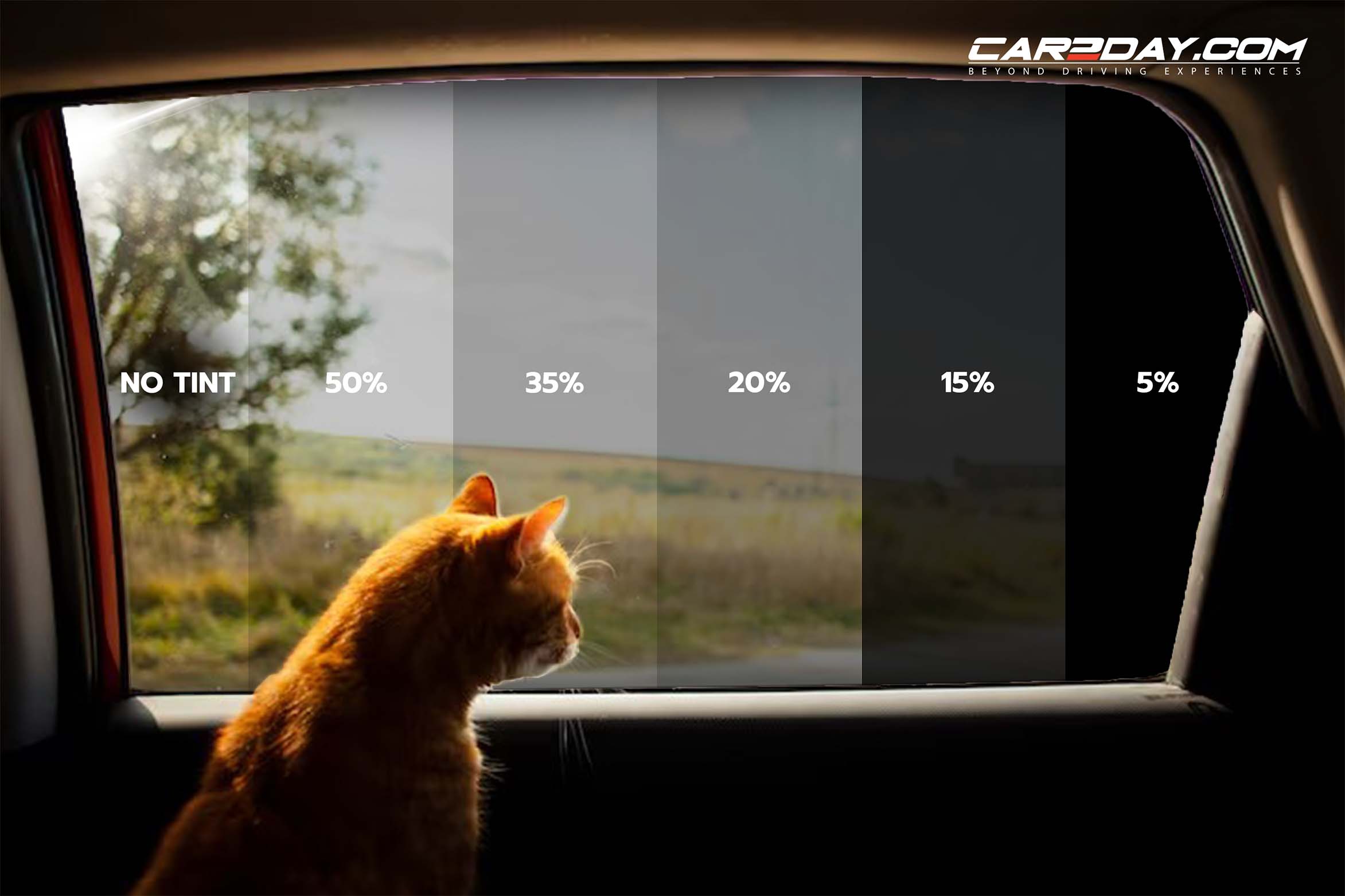 กฎหมายติดฟิล์มกระจกรถยนต์ ของประเทศต่างๆ