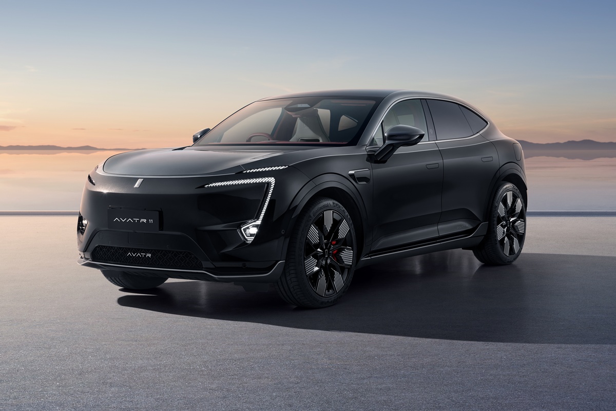 AVATR 11 Royal Edition