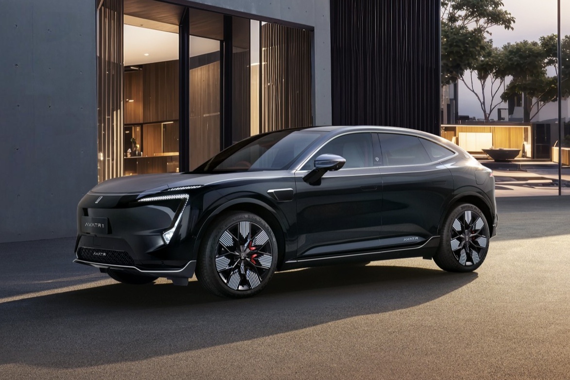 AVATR 11 ROYAL EDITION