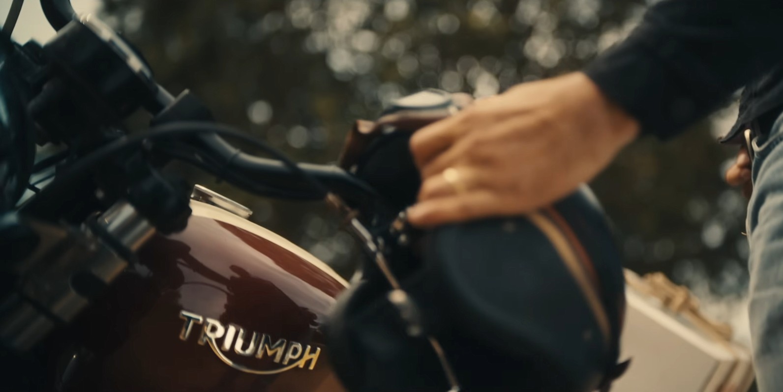 Avengers: Doomsday Triumph