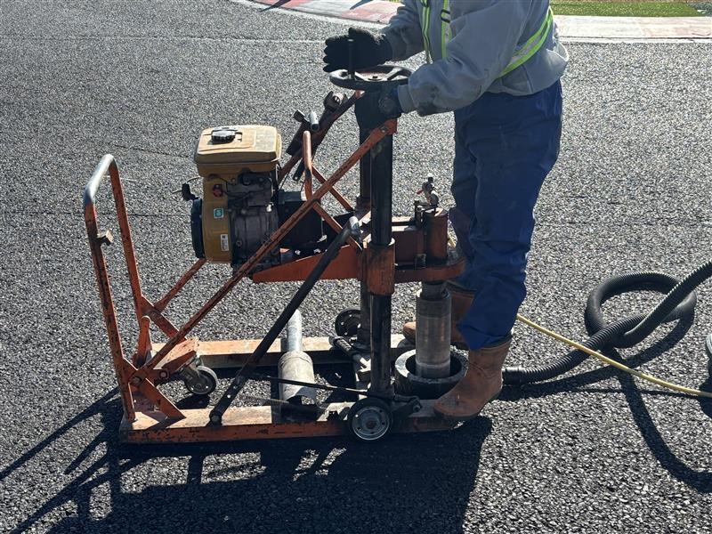 Suzuka Circuit Asphalt