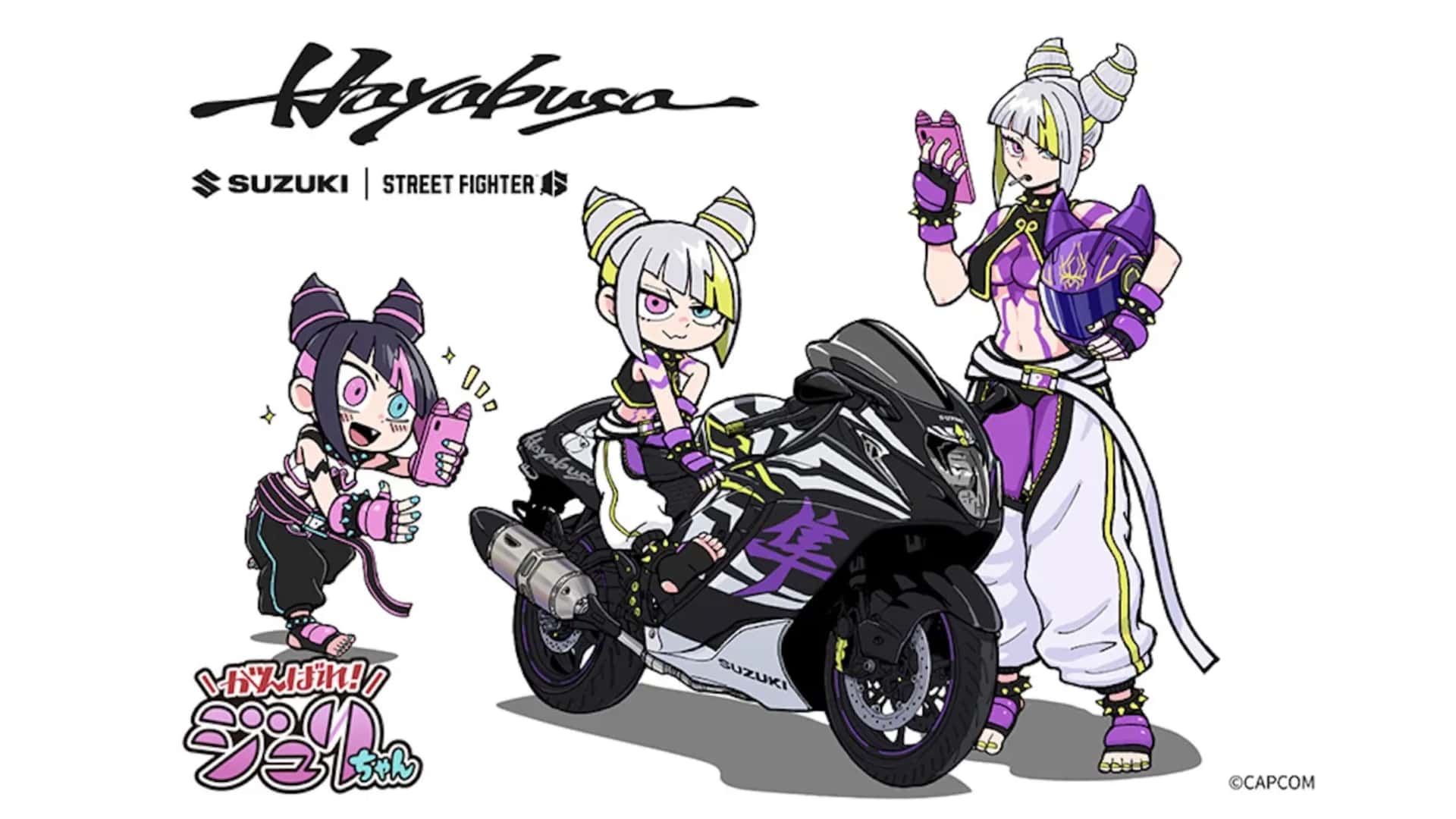 Suzuki Hayabusa Street Fighter