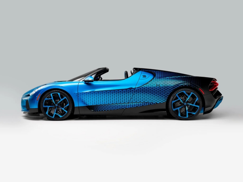 Bugatti Mistral Fly Bug
