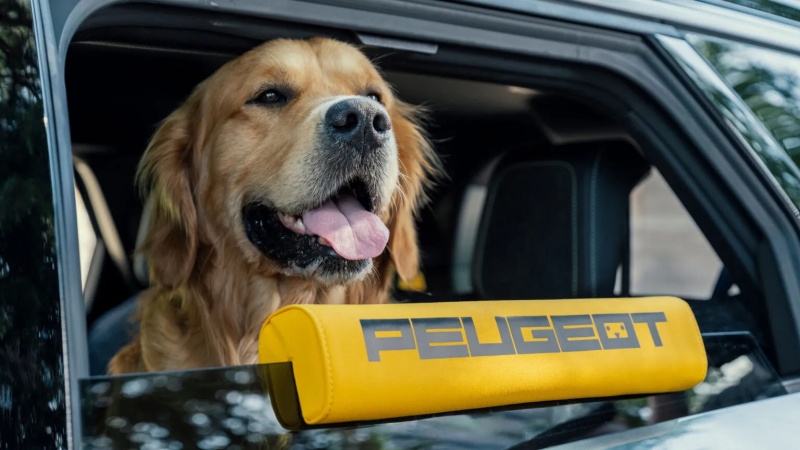 Peugeot E-5008 Dog Edition
