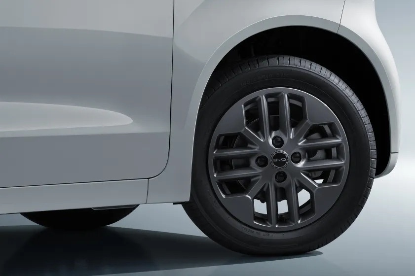 BYD RACCO